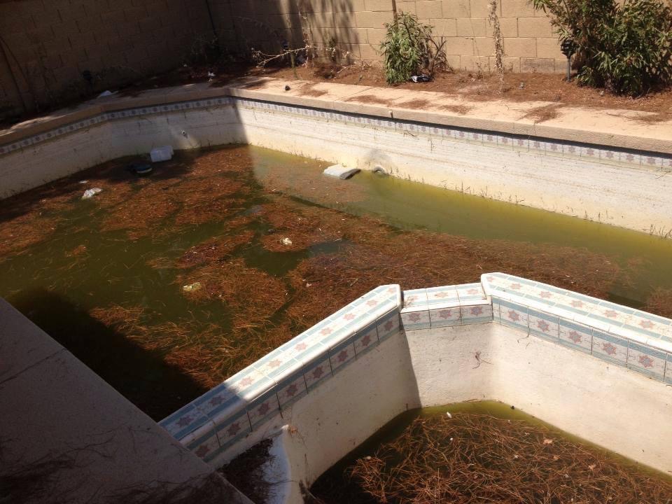 Green Pool Clean 2 - Aqua Patrol Pool Service and Remodeling, Chandler AZ